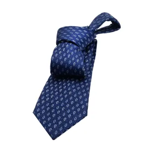 Danbury Paisley Silk Tie, Blue / Light Blue / Silver