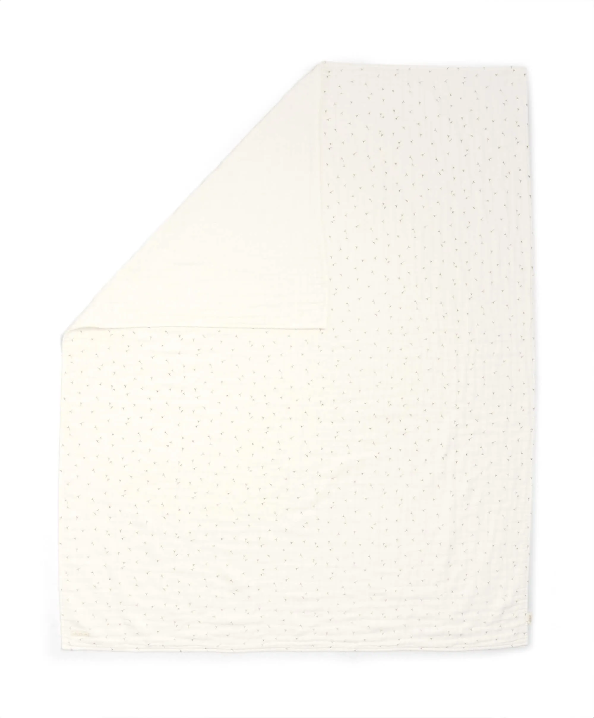 Muslin Blanket - Seed - Welcome to the World Seedling
