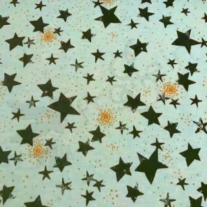 Sweat - Stars Gold Glitter-Mint